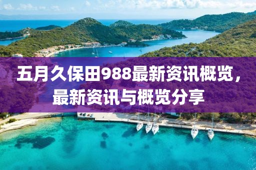 五月久保田988最新資訊概覽,最新資訊與概覽分享