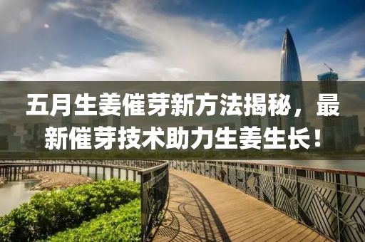 五月生姜催芽新方法揭秘，最新催芽技術(shù)助力生姜生長！