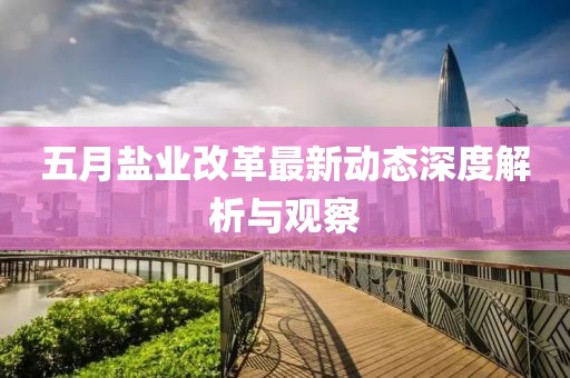 五月鹽業(yè)改革最新動態(tài)深度解析與觀察