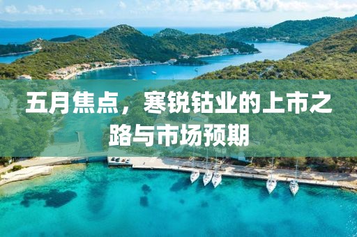 五月焦點,寒銳鈷業的上市之路與市場預期