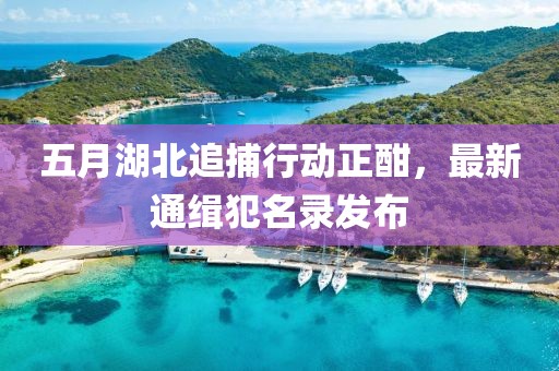 五月湖北追捕行動正酣,最新通緝犯名錄發布
