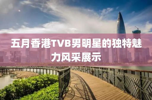五月香港TVB男明星的獨特魅力風采展示
