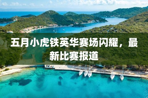 五月小虎鐵英華賽場閃耀,最新比賽報道