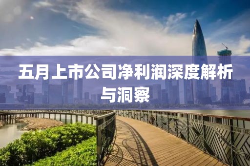 五月上市公司凈利潤深度解析與洞察