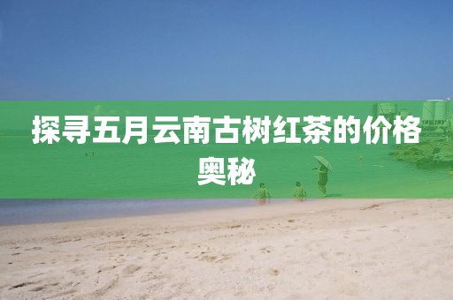 探尋五月云南古樹紅茶的價格奧秘
