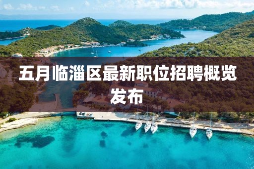 五月臨淄區最新職位招聘概覽發布