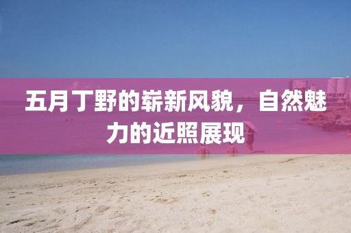 五月丁野的嶄新風貌,自然魅力的近照展現