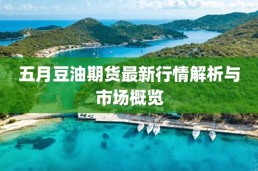 五月豆油期貨最新行情解析與市場概覽