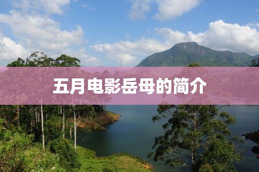五月電影岳母的簡介