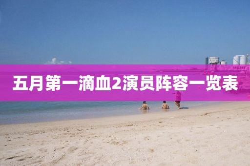 五月第一滴血2演員陣容一覽表