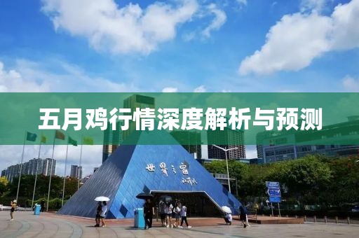 五月雞行情深度解析與預測
