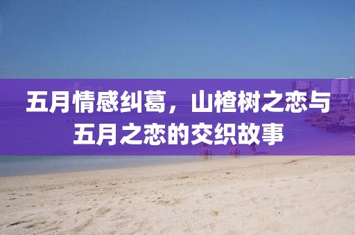 五月情感糾葛,山楂樹之戀與五月之戀的交織故事
