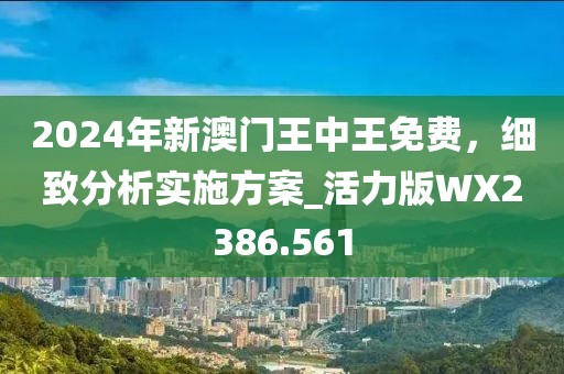 2024年新澳門王中王免費,細致分析實施方案_活力版WX2386.561