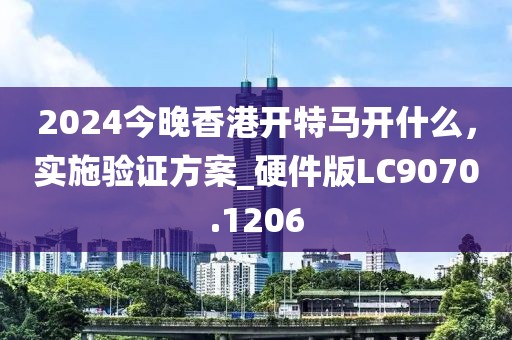 2024今晚香港開特馬開什么,實施驗證方案_硬件版LC9070.1206