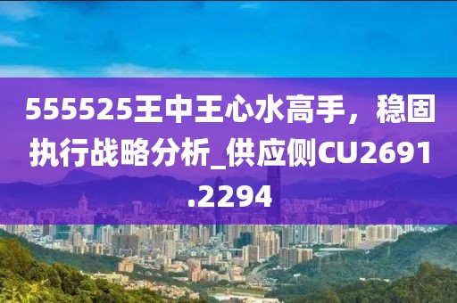 555525王中王心水高手,穩固執行戰略分析_供應側CU2691.2294