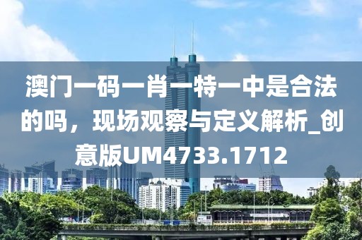 澳門一碼一肖一特一中是合法的嗎，現場觀察與定義解析_創意版UM4733.1712