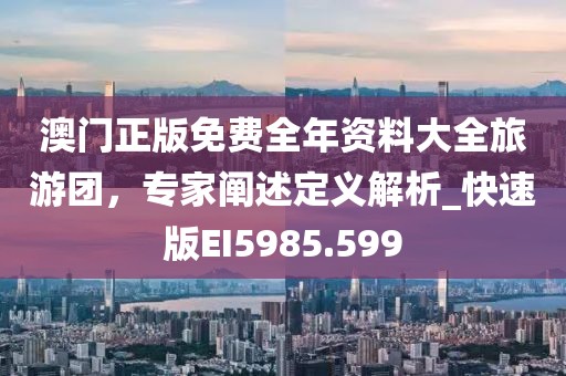 澳門正版免費全年資料大全旅游團,專家闡述定義解析_快速版EI5985.599