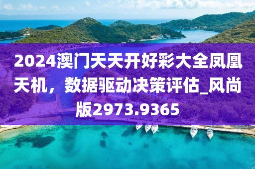 2024澳門天天開好彩大全鳳凰天機，數據驅動決策評估_風尚版2973.9365