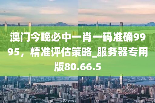 澳門今晚必中一肖一碼準確9995,精準評估策略_服務器專用版80.66.5