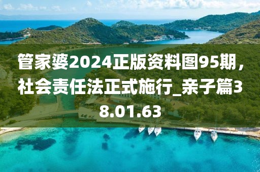 管家婆2024正版資料圖95期,社會責任法正式施行_親子篇38.01.63