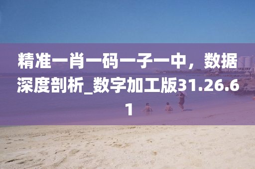精準一肖一碼一子一中,數據深度剖析_數字加工版31.26.61