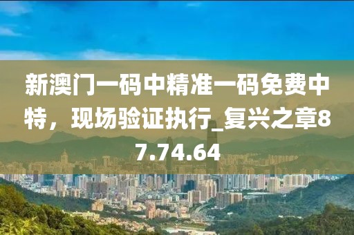 新澳門一碼中精準(zhǔn)一碼免費(fèi)中特,現(xiàn)場(chǎng)驗(yàn)證執(zhí)行_復(fù)興之章87.74.64