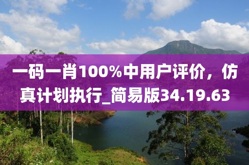 一碼一肖100%中用戶評價，仿真計劃執行_簡易版34.19.63