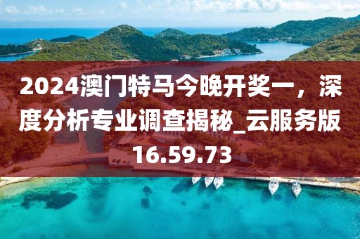 2024澳門特馬今晚開獎一,深度分析專業調查揭秘_云服務版16.59.73