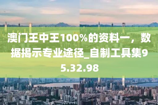 澳門王中王100%的資料一,數(shù)據(jù)揭示專業(yè)途徑_自制工具集95.32.98