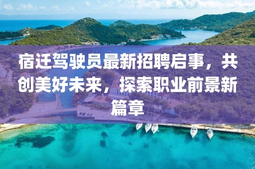 宿遷駕駛員最新招聘啟事,共創(chuàng)美好未來,探索職業(yè)前景新篇章