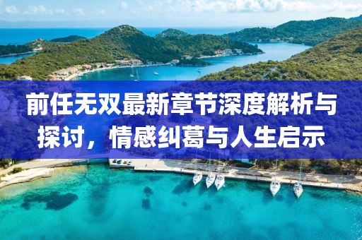 前任無雙最新章節深度解析與探討,情感糾葛與人生啟示