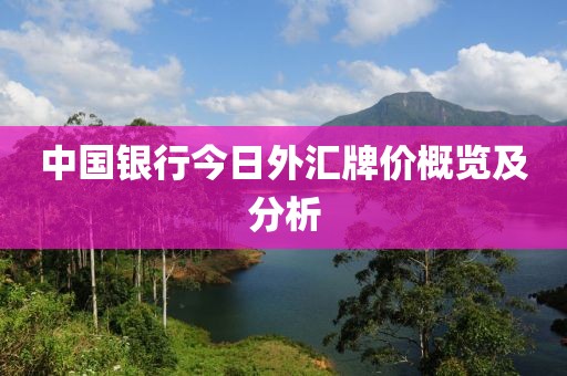 中國銀行今日外匯牌價概覽及分析