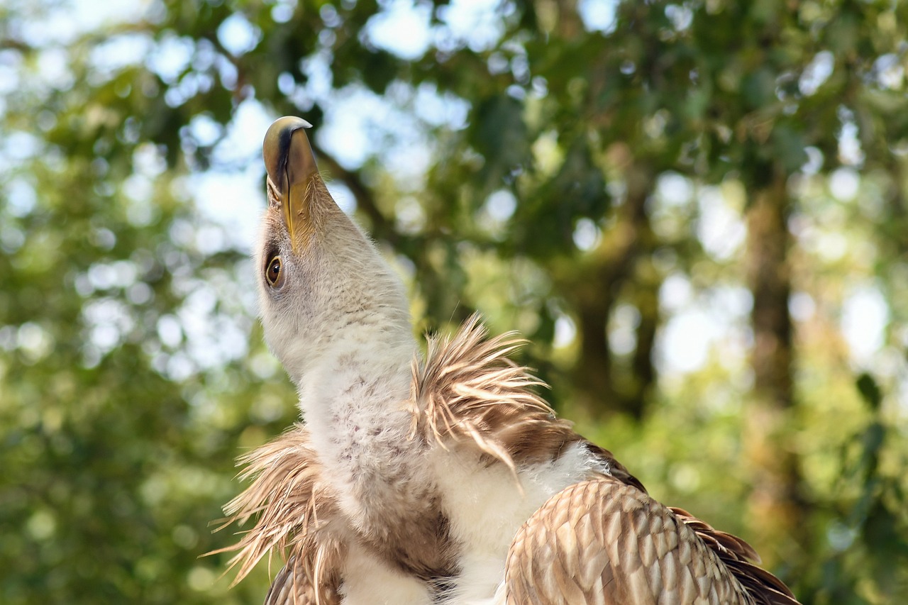 丹陽市最新房價動態與市場趨勢深度解析