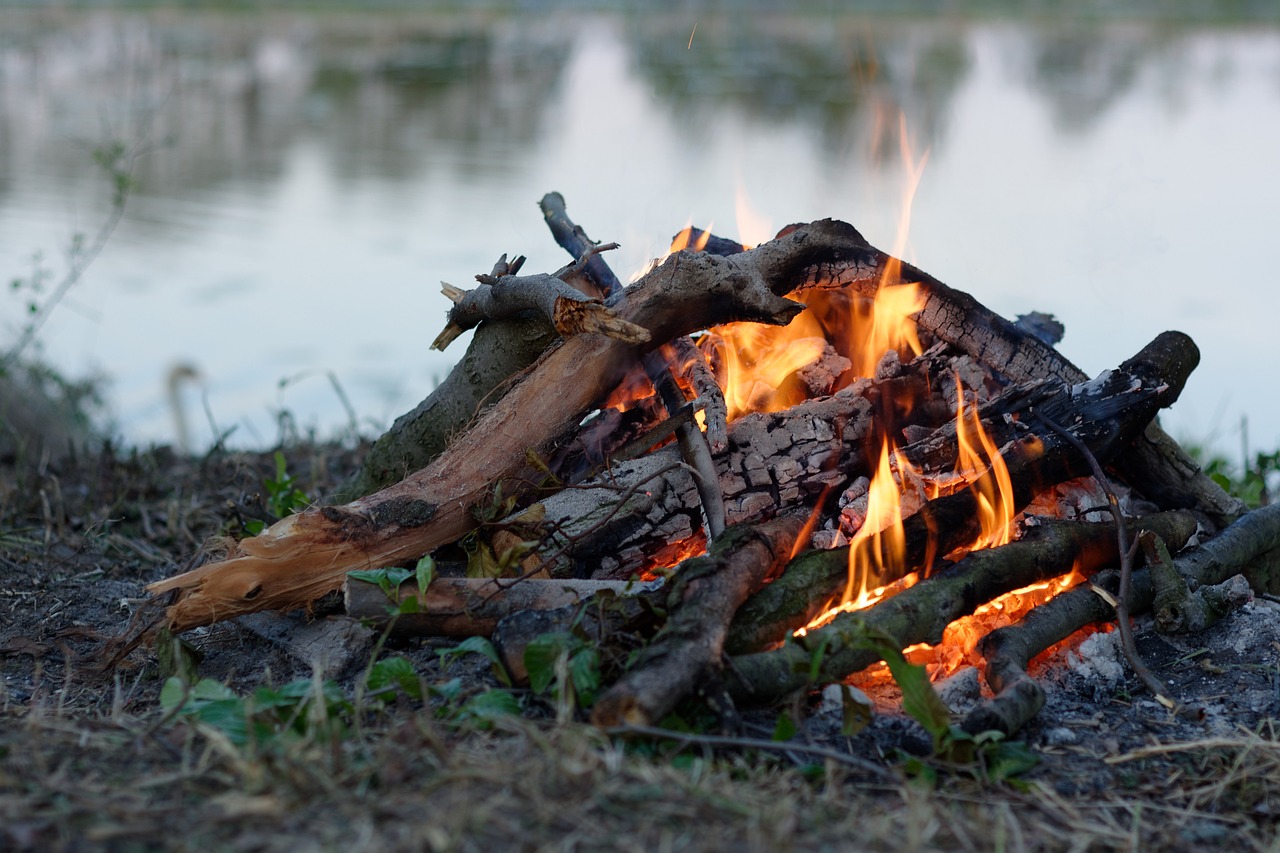 搖錢樹捕魚最新版下載,游戲魅力與獨家體驗探索