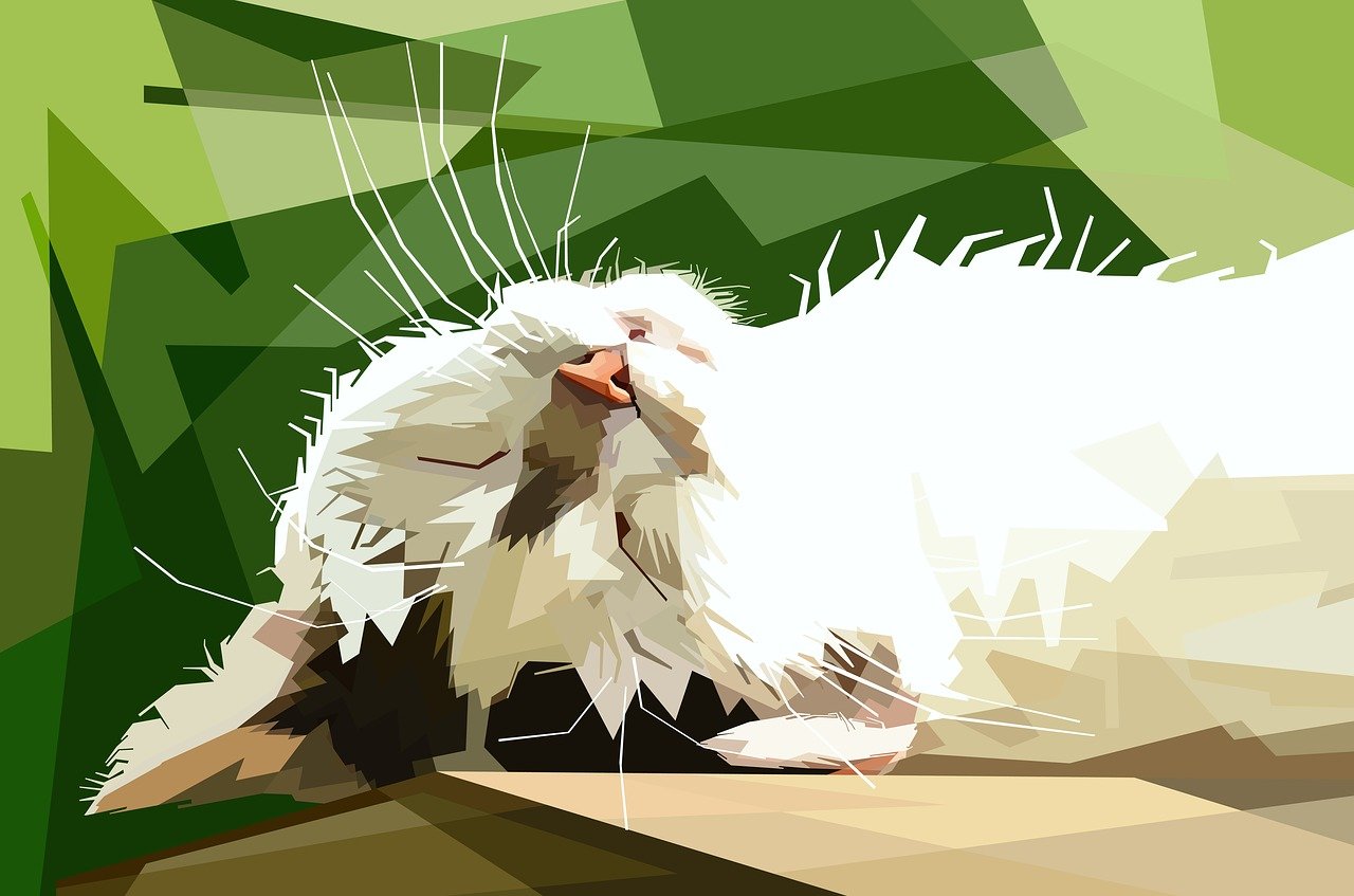 諾奇最新動態,引領時尚潮流開啟新篇章