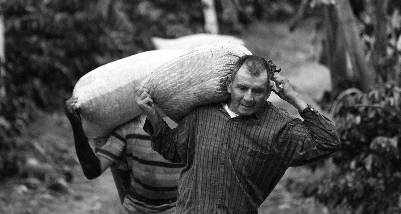 電改最新動(dòng)態(tài),推動(dòng)能源轉(zhuǎn)型,助力可持續(xù)發(fā)展