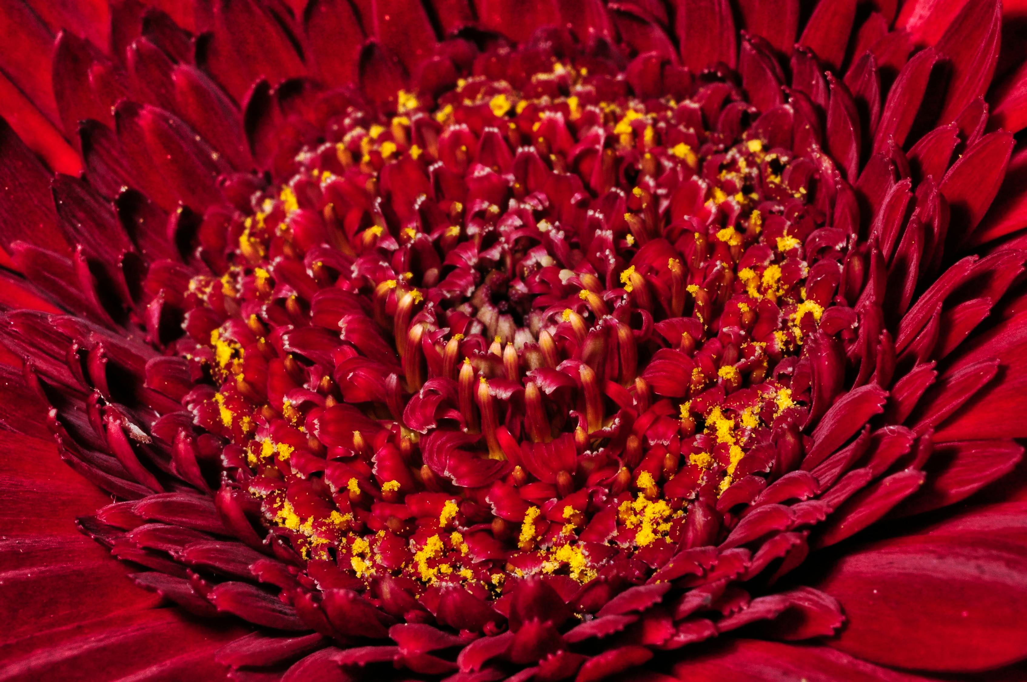 浙江飛劍公司最新招聘動態與職業發展機會探討,探尋職業未來與機遇之門