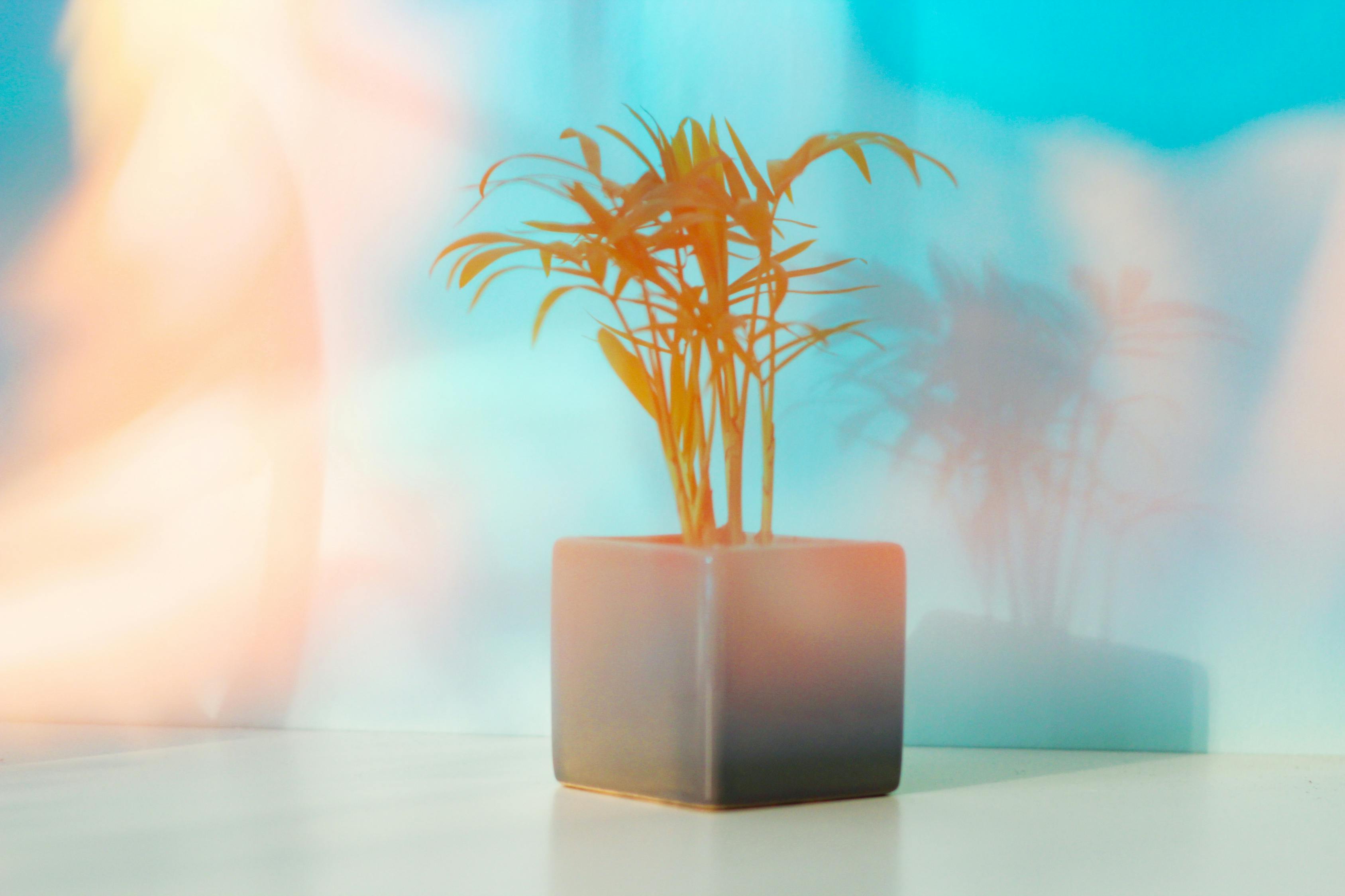 追求卓越,創造無限可能,2017狠狠干最新版展望