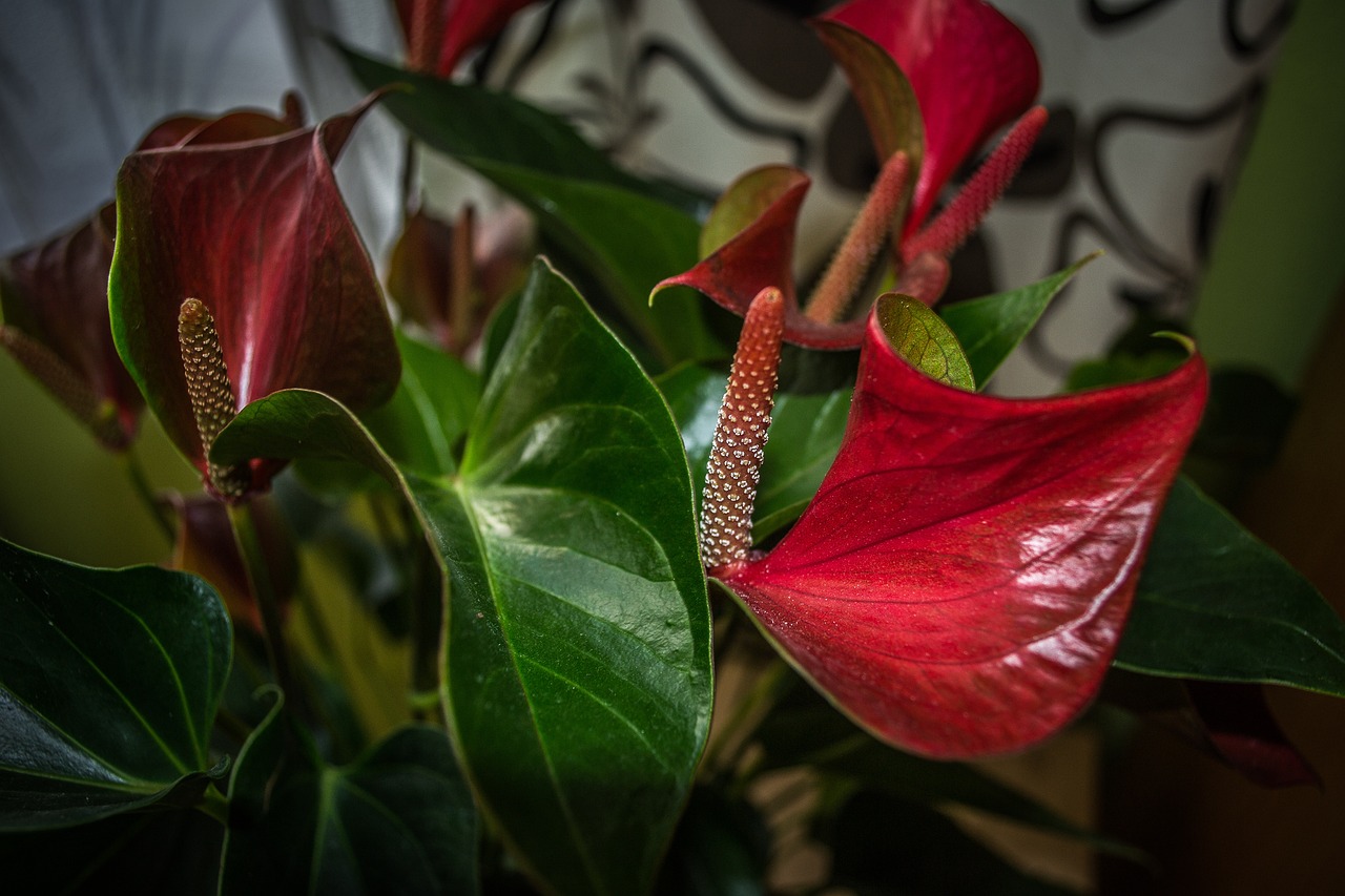 知豆引領(lǐng)綠色出行新篇章的最新動態(tài)消息。