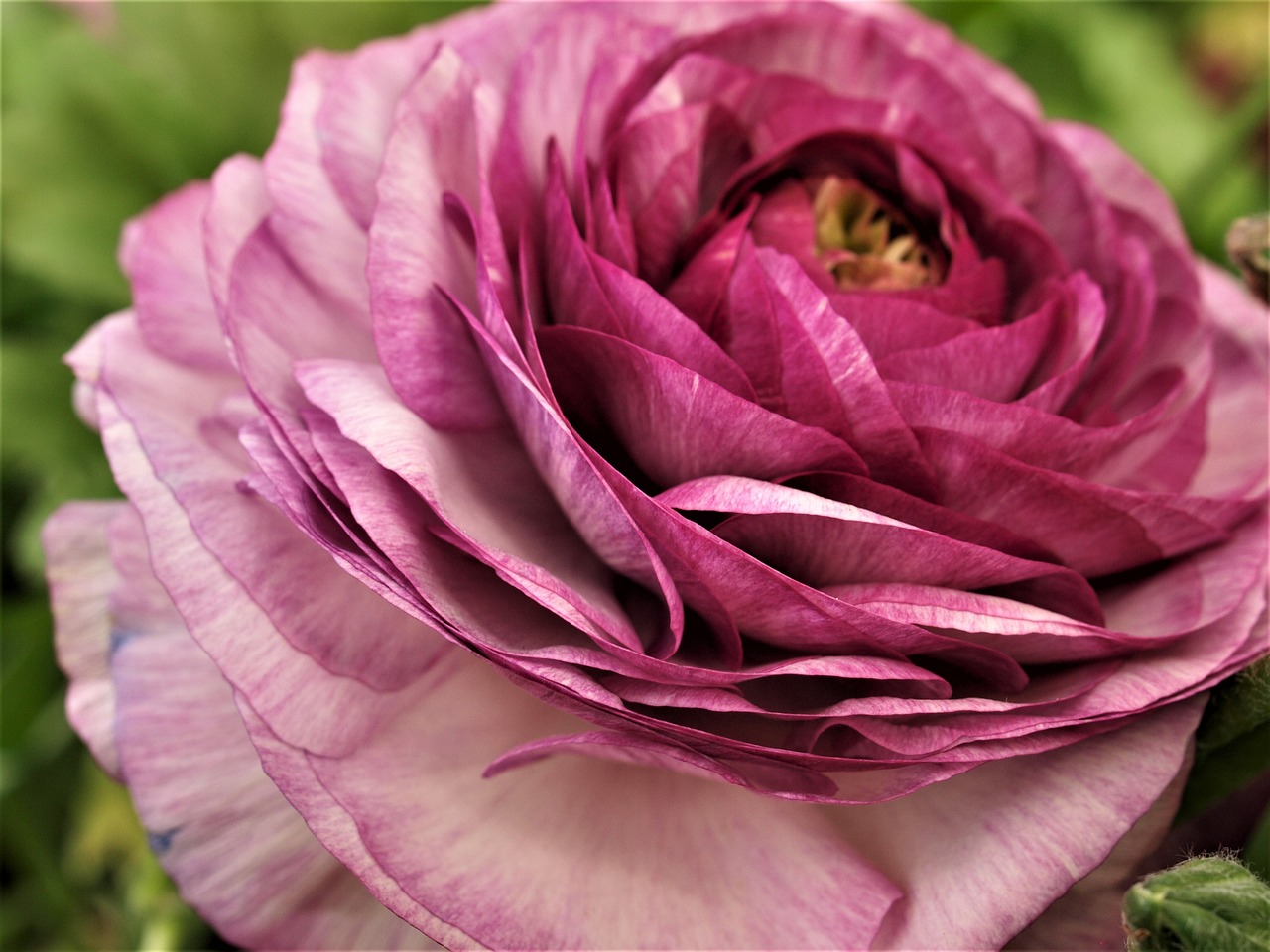 知豆引領綠色出行新篇章的最新動態消息。