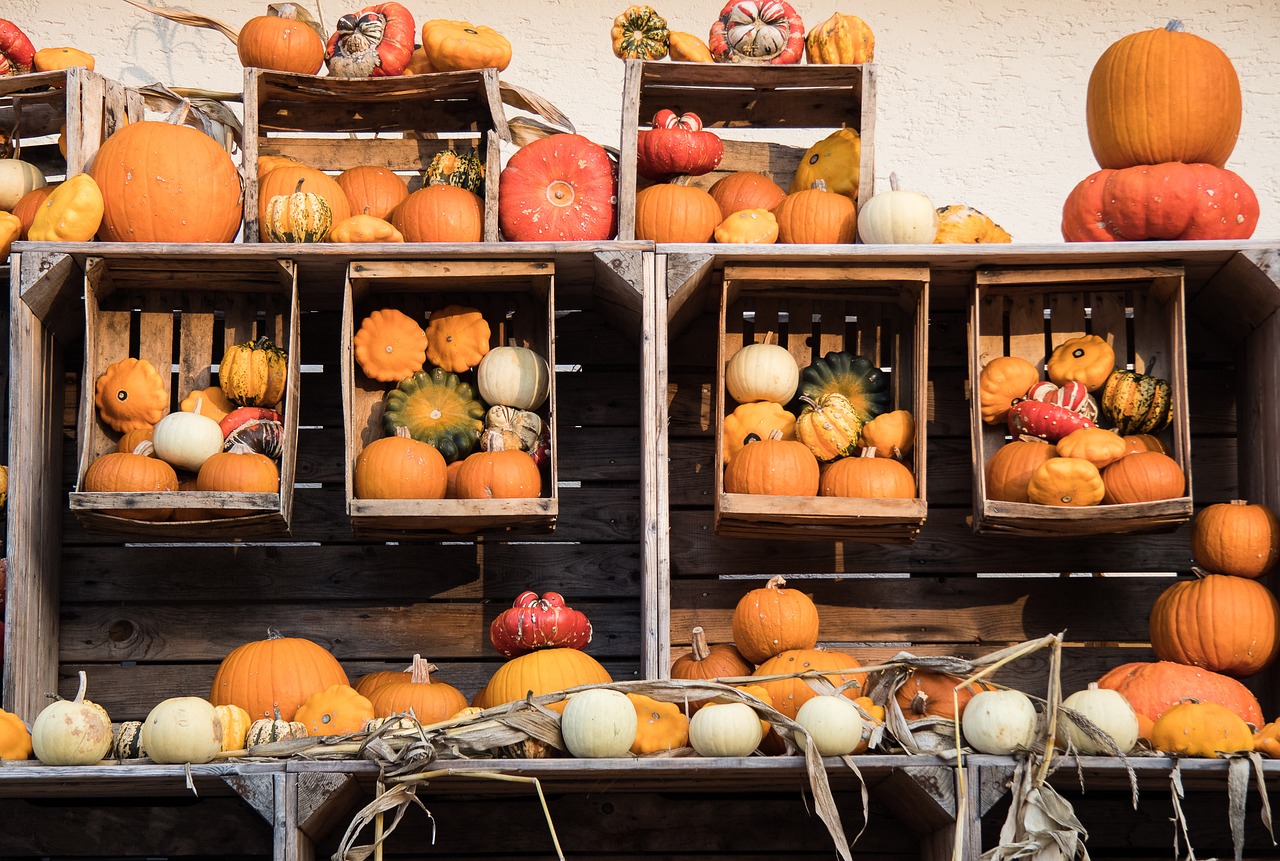 恩施市最新干部任免及任免動態更新