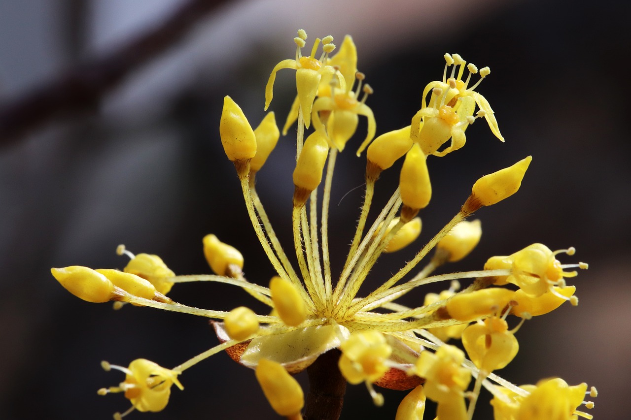 鹽湖股份最新消息綜述，今日動態一網打盡