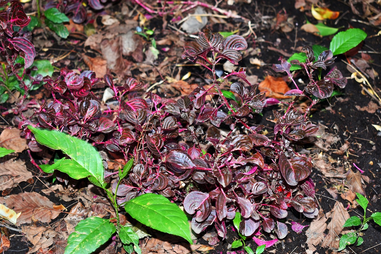 湖南煤礦事故最新動態,深度分析與應對之策