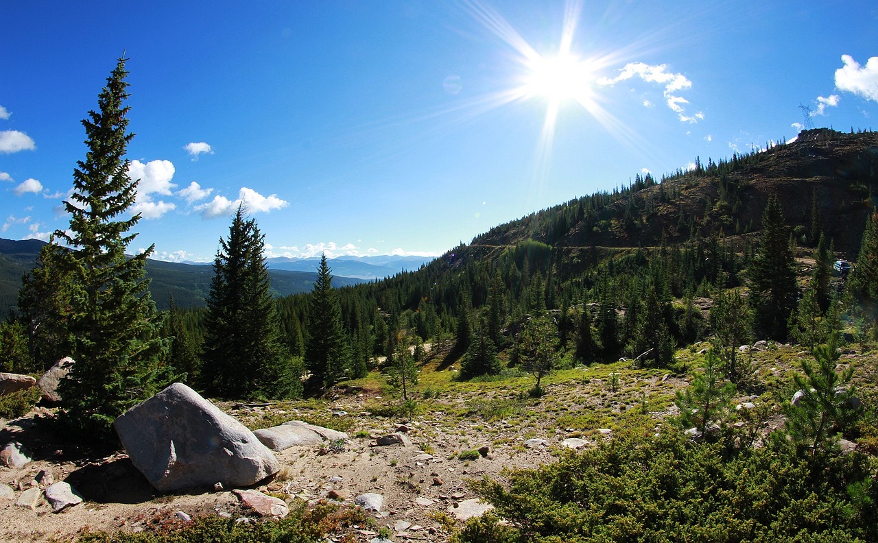 泰興最新化工廠招聘信息解讀與招聘動態速遞