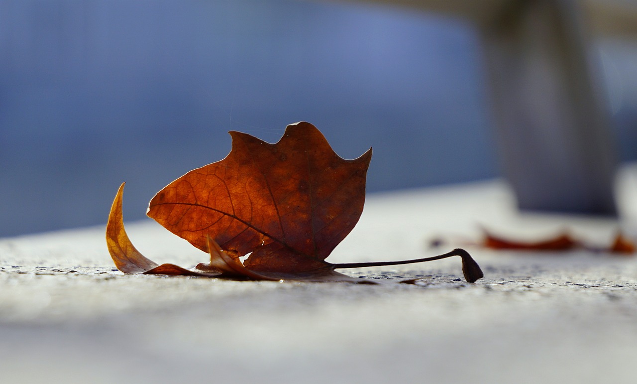 尤溪新坑最新發(fā)展動(dòng)態(tài)及前景展望