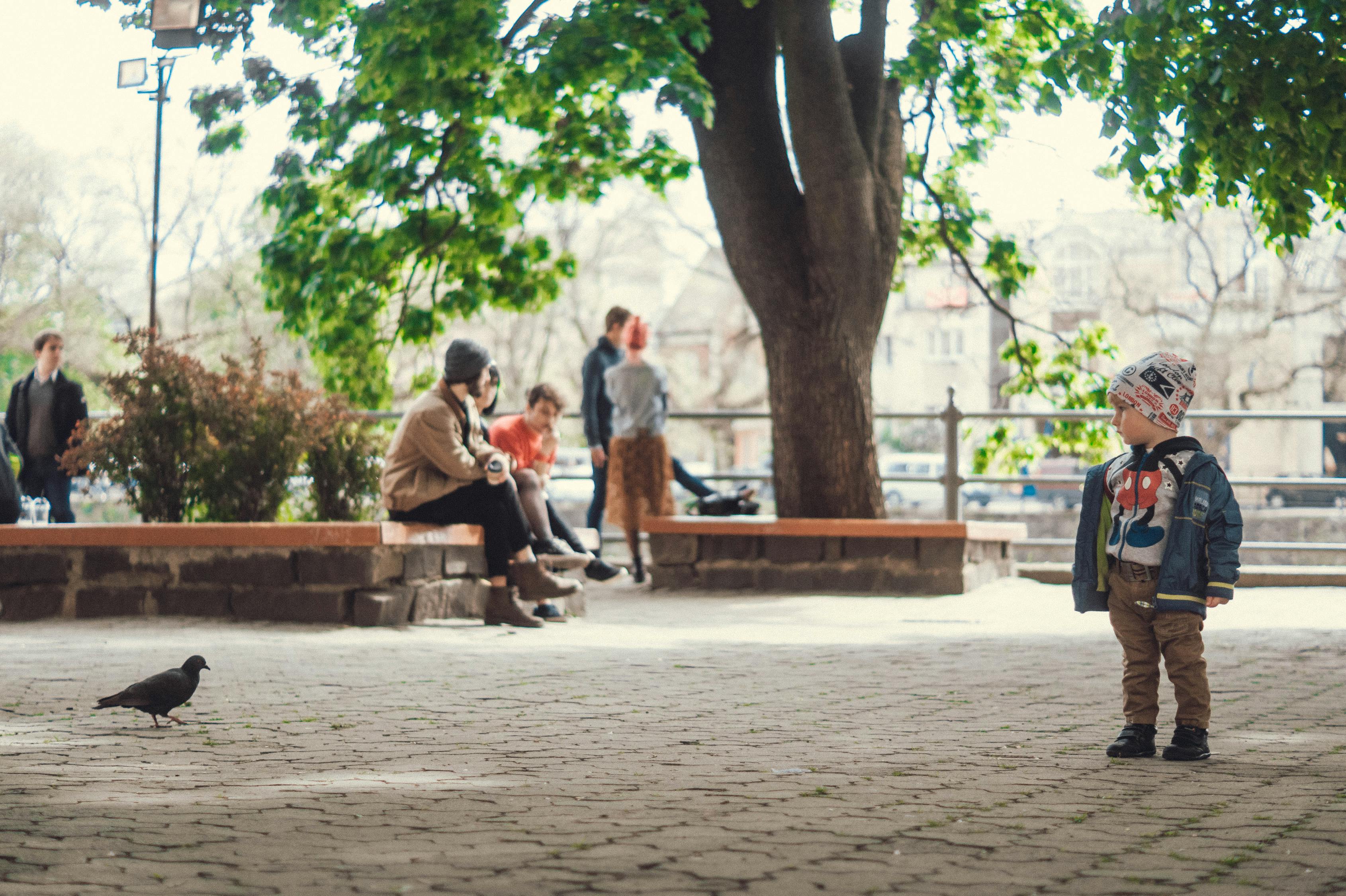 大楊樹貼吧,最新更新與蓬勃發展的生態及交流平臺