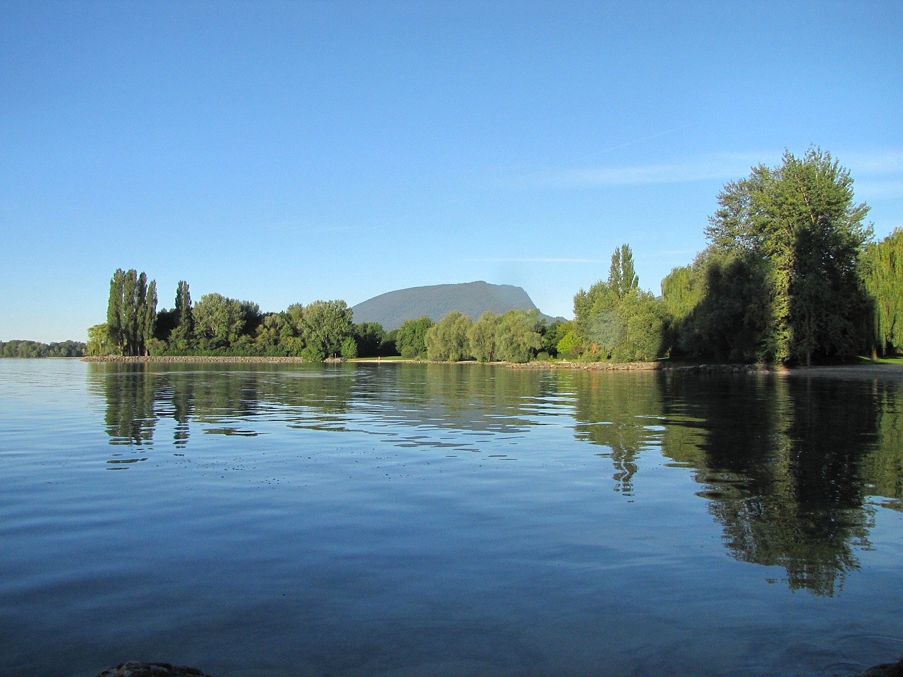 夜無憂最新動態,探索未知,引領未來