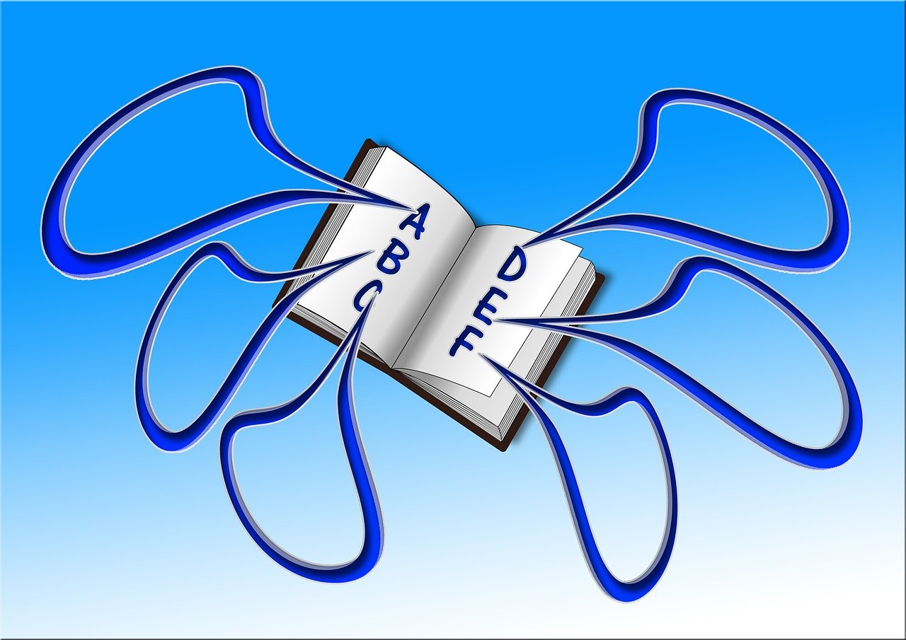 樂視公司最新動態,創新引領,邁向未來