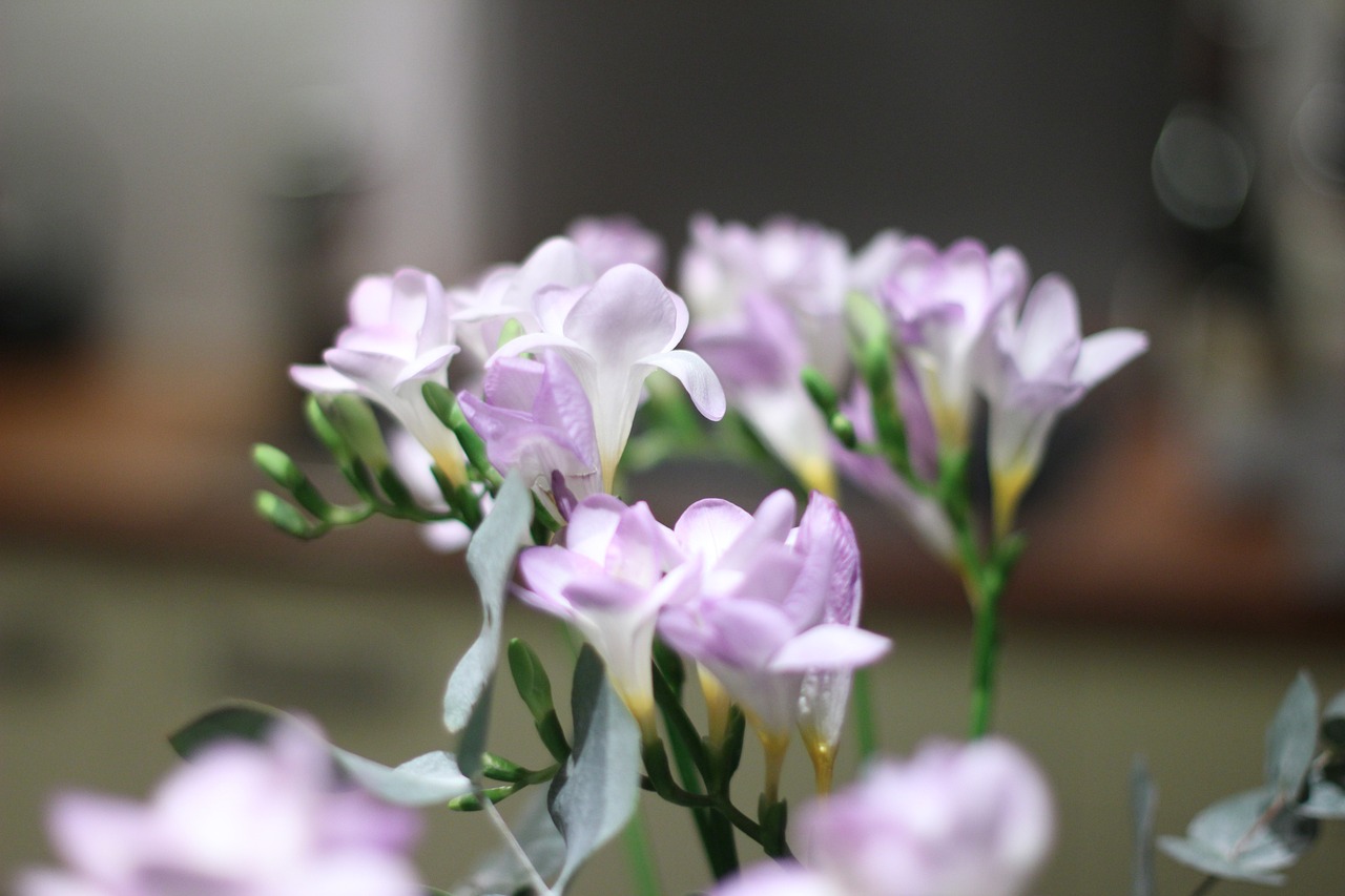 掛Q軟件最新動態與技術探討,涉及違法犯罪的警示