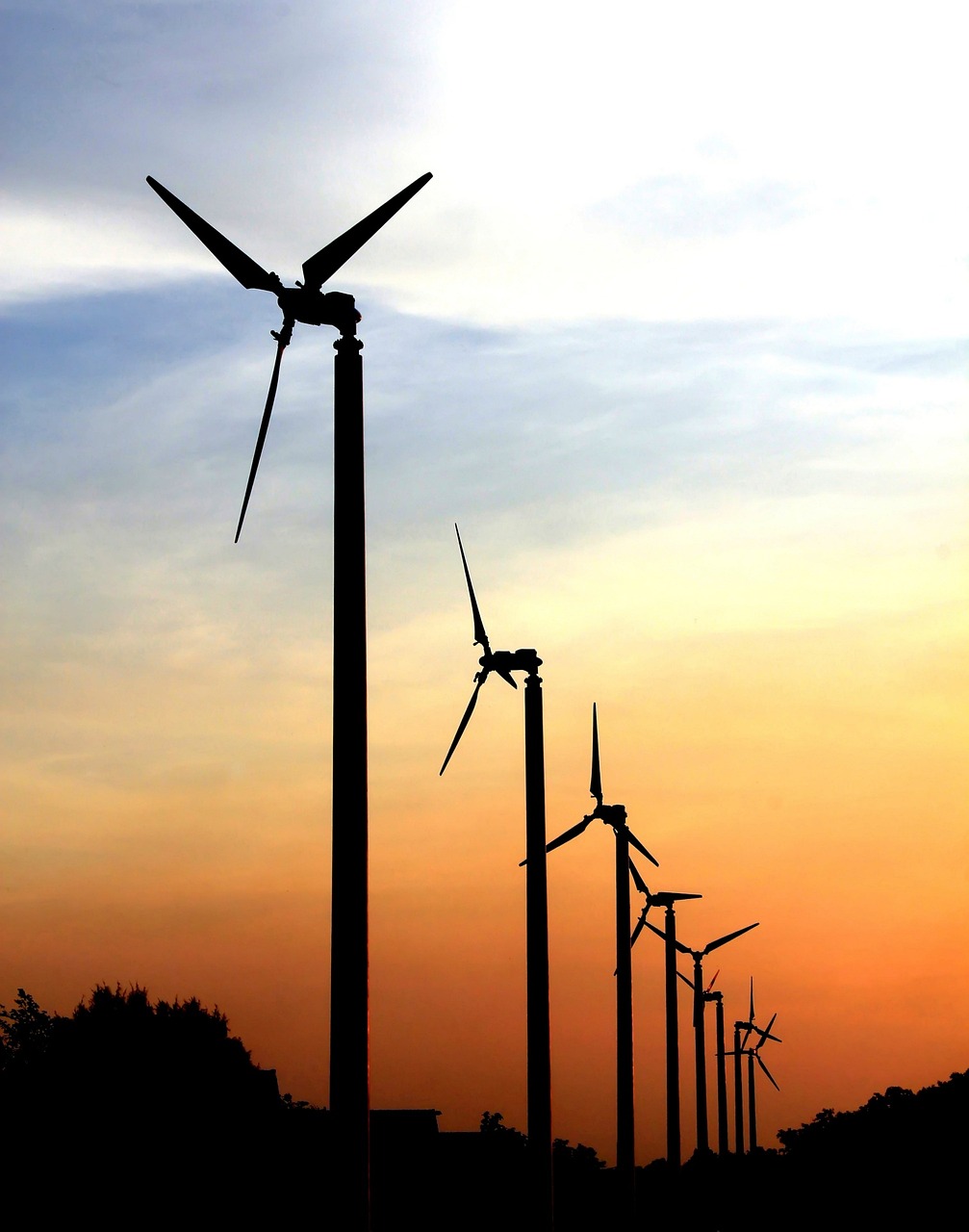 探索水主最新搭配，生態(tài)與可持續(xù)發(fā)展之路的新篇章